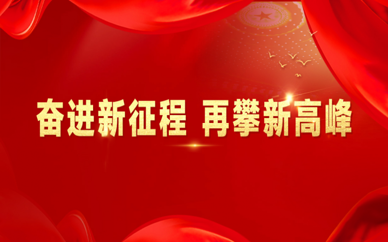 融誠物產(chǎn)集團：打好“組合拳”，提速國際化
